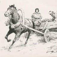 Елена Стемпковская