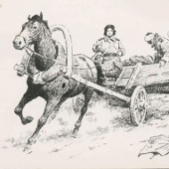 Елена Стемпковская