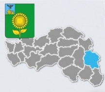 История Алексеевского района